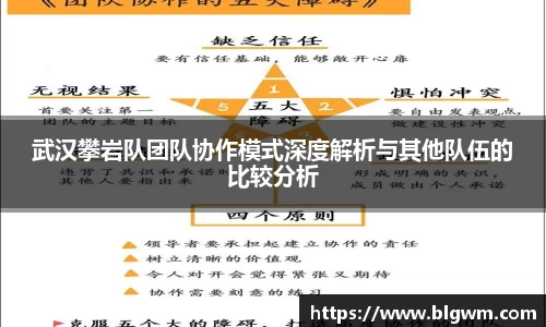 武汉攀岩队团队协作模式深度解析与其他队伍的比较分析
